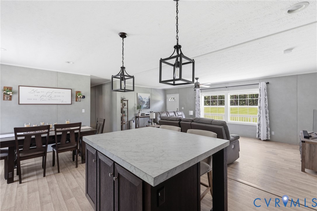 8952 White Oak Church Road Wilsons, VA 23894 - Photo 17 of 37 Updated Pendant Lights