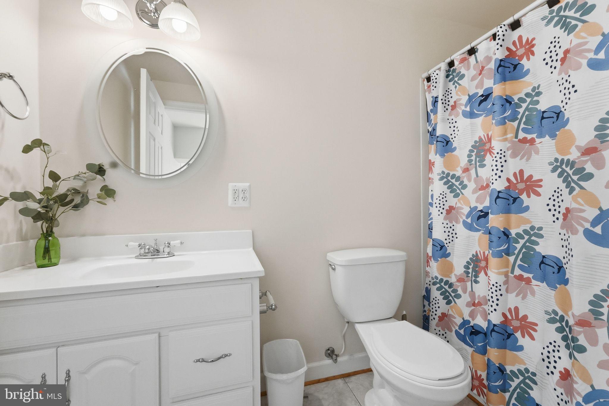18198 Springs Road Jeffersonton, VA 22724 - Photo 38 of 80 Lower Level: Full Bathroom