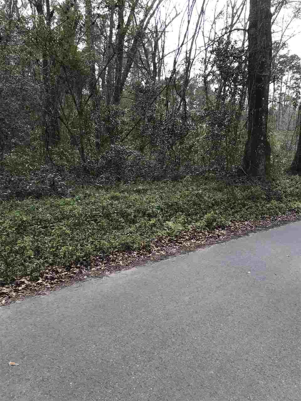0 Clinton Road Monticello, FL 32344 - Photo 2 of 5 Gallery Image 2