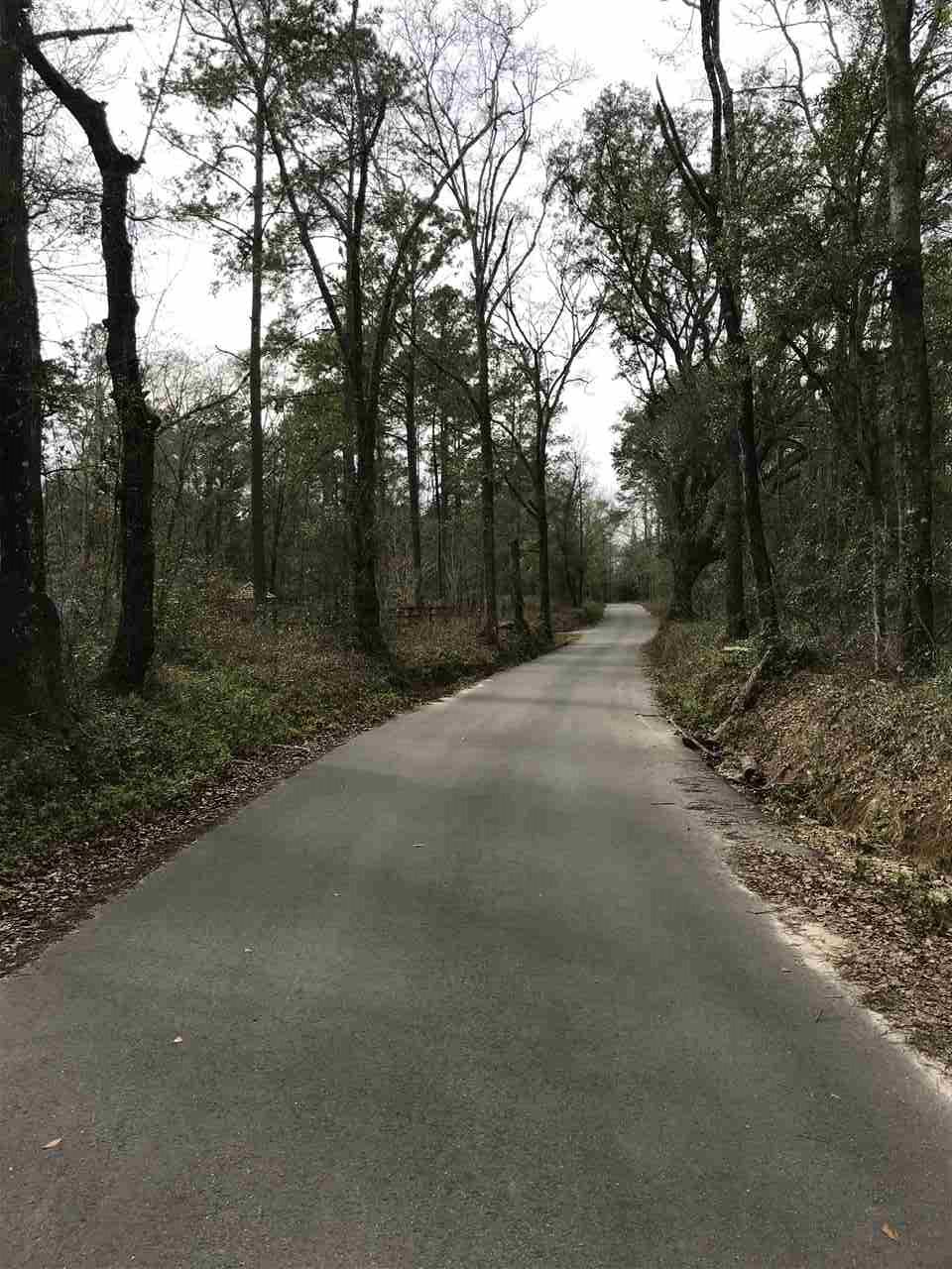 0 Clinton Road Monticello, FL 32344 - Photo 3 of 5 Gallery Image 3