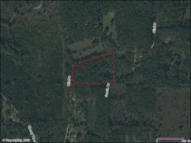 0 Clinton Road Monticello, FL 32344 - Photo 4 of 5 Gallery Image 4
