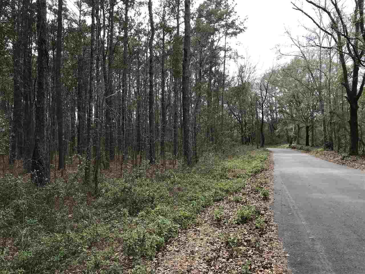 0 Clinton Road Monticello, FL 32344 - Photo 5 of 5 Gallery Image 5