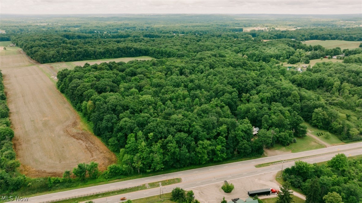 15765 Main Market Road Burton, OH 44021 - Photo 24 of 41 Bird's eye view