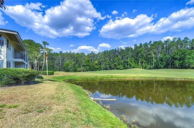 a view of a lake with a big yard