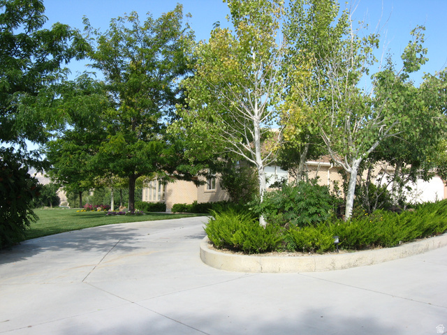 1040 West Mill Road Ferron, UT 84523 - Photo 5 of 117 Paved driveway with a curved concrete planter, mature trees, and shrubs