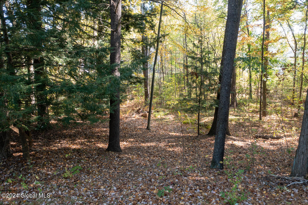 51 Westphal Drive Bethlehem, NY 12054 - Photo 41 of 44 DJI_0931