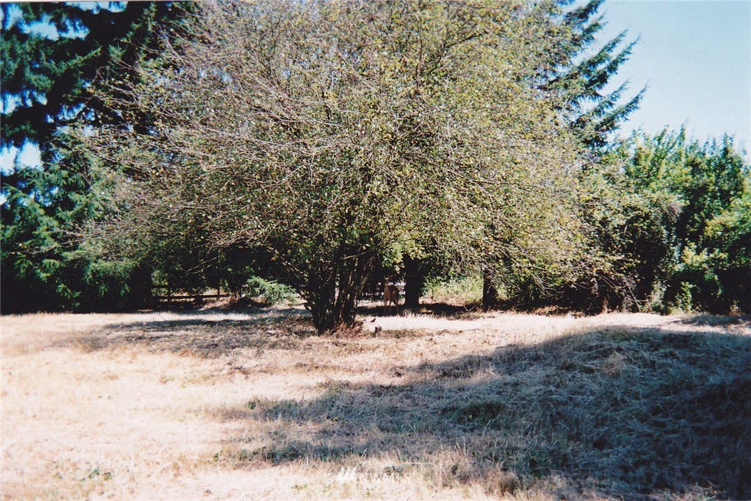 20512 Grand Mound Way Southwest Rochester, WA 98579 - Photo 2 of 3 Gallery Image 2