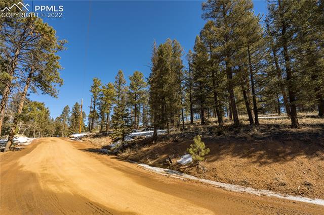 244 Tidi Road Florissant, CO 80816 - Photo 47 of 50