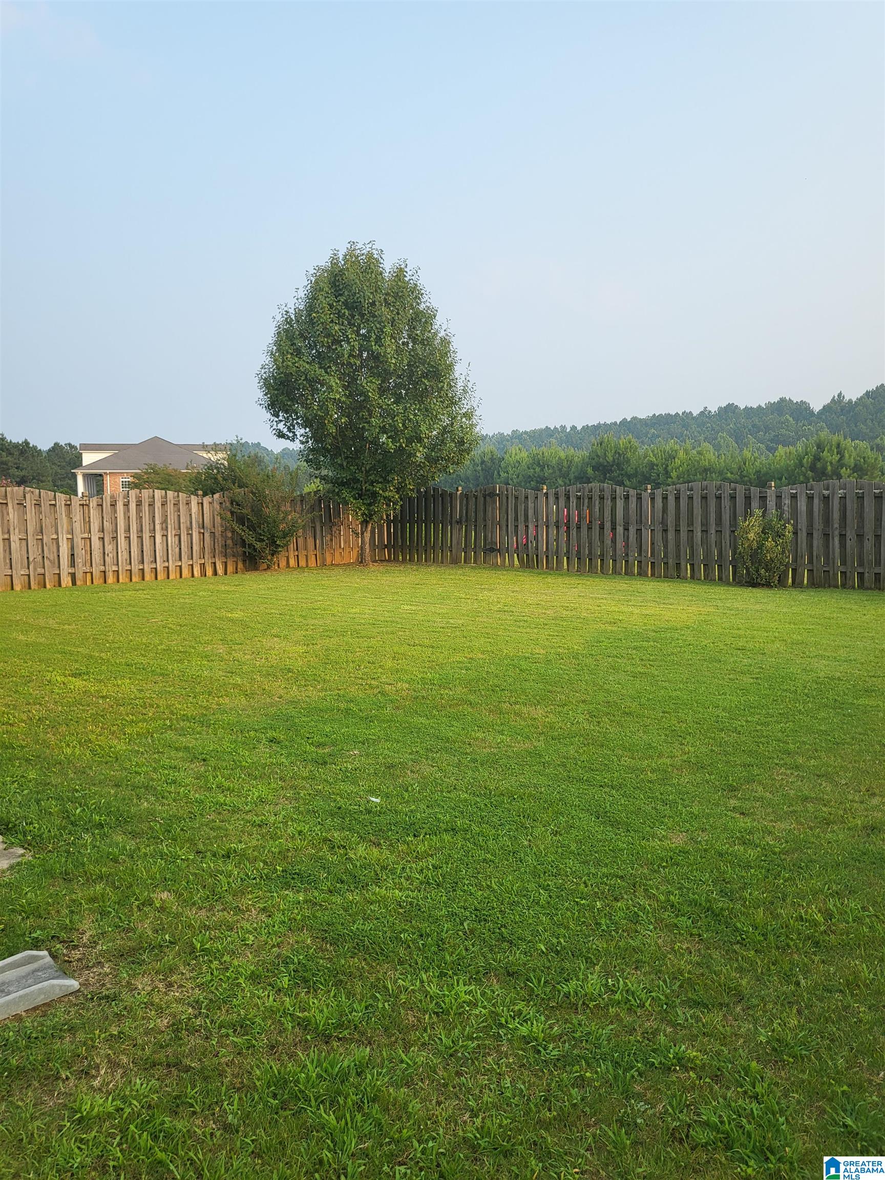 347 Blackberry Boulevard Springville, AL 35146 - Photo 32 of 33