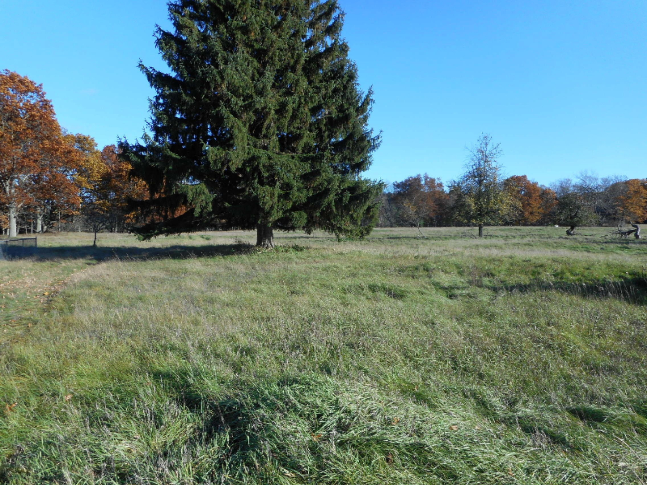 2742 Old Stronach Road Manistee, MI 49660 - Photo 1 of 14 DSCN3066