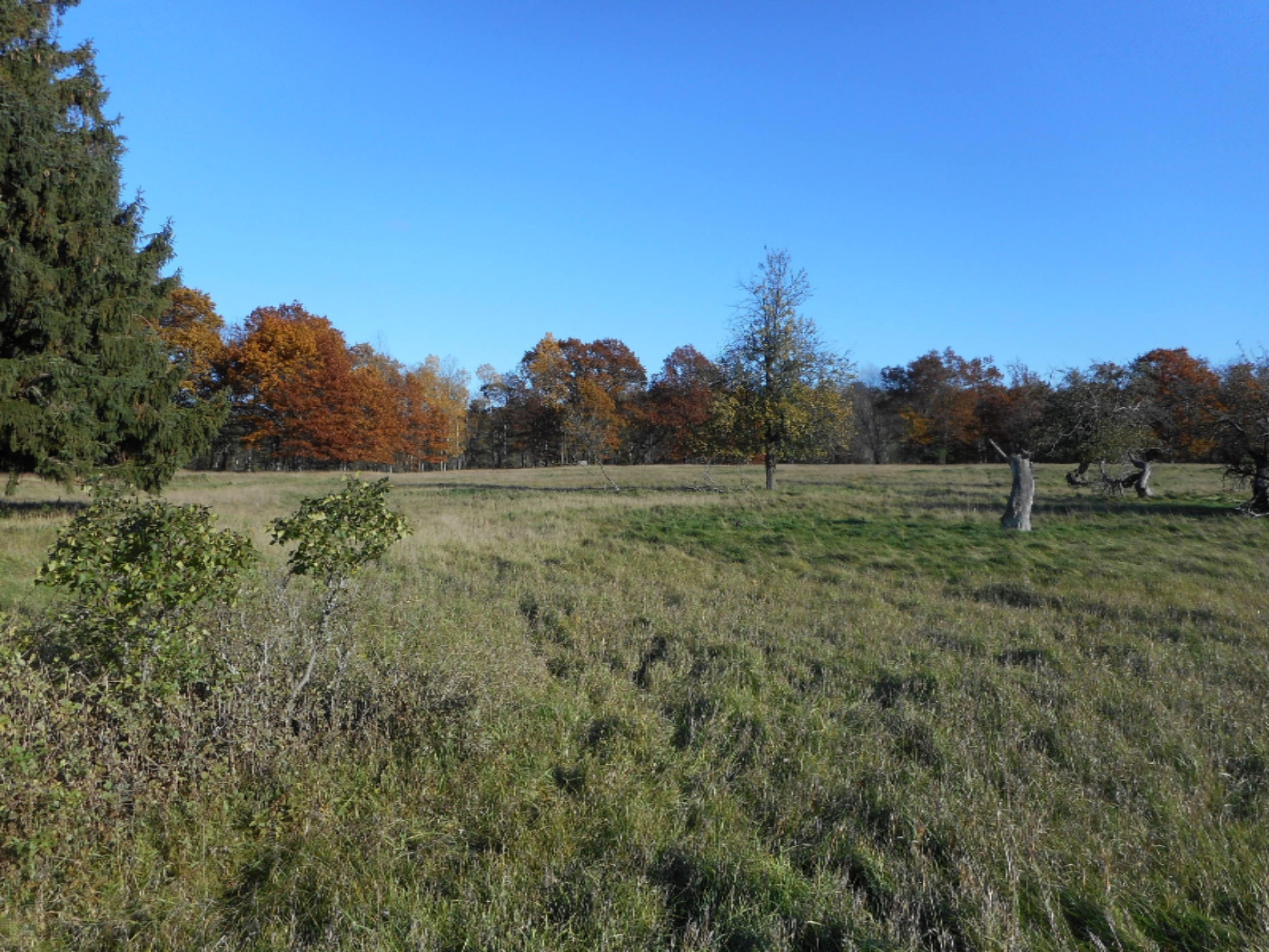 2742 Old Stronach Road Manistee, MI 49660 - Photo 3 of 14 DSCN3067