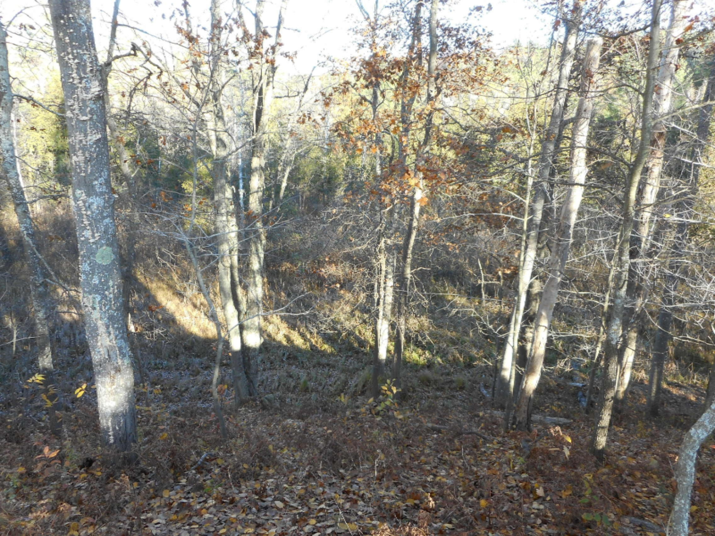 2742 Old Stronach Road Manistee, MI 49660 - Photo 4 of 14 DSCN3068