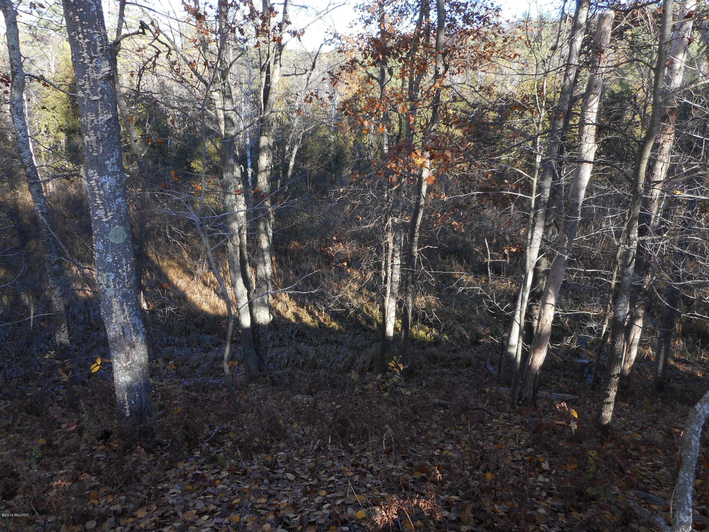 2742 Old Stronach Road Manistee, MI 49660 - Photo 5 of 14 DSCN3069