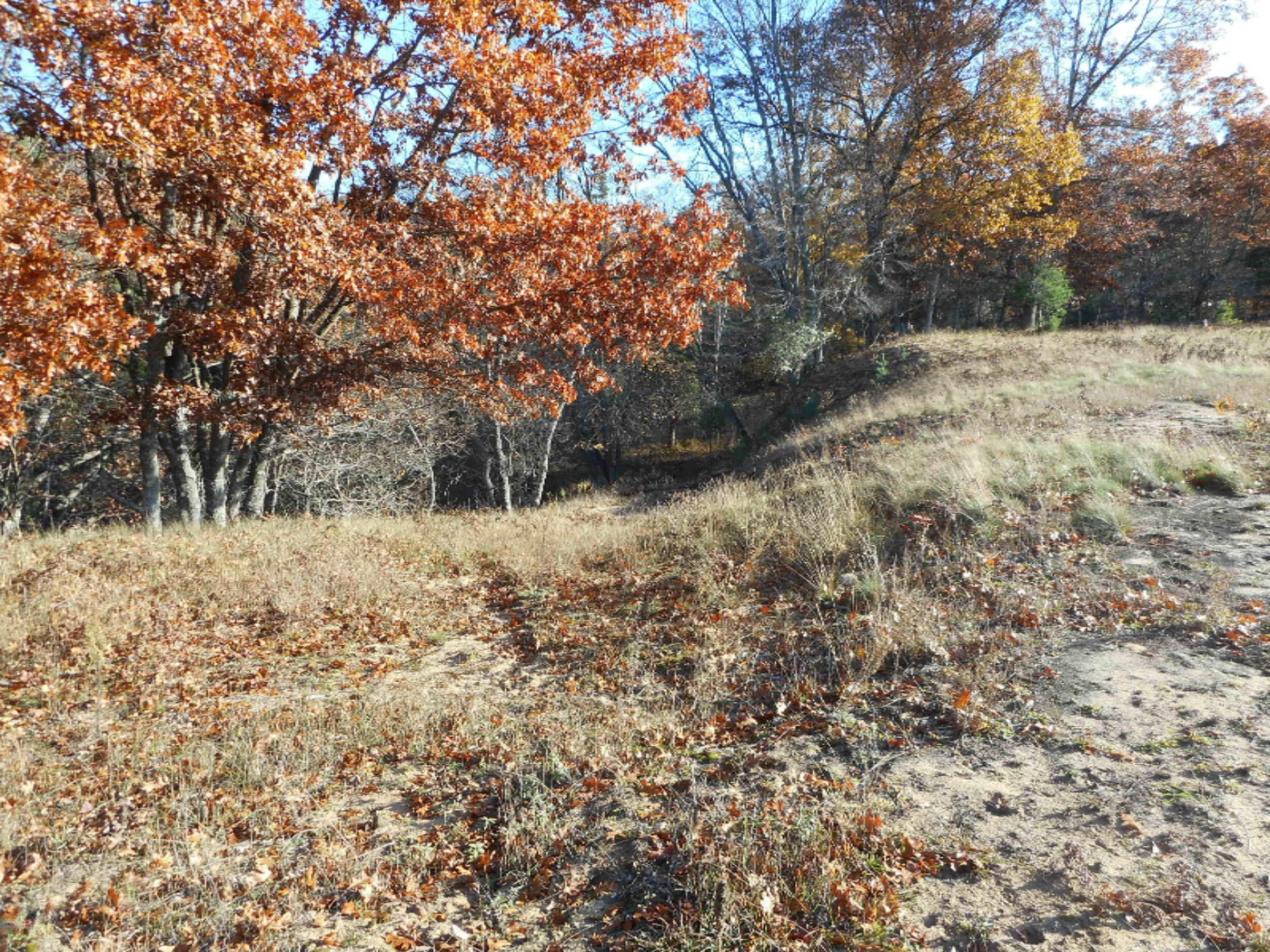2742 Old Stronach Road Manistee, MI 49660 - Photo 6 of 14 DSCN3070