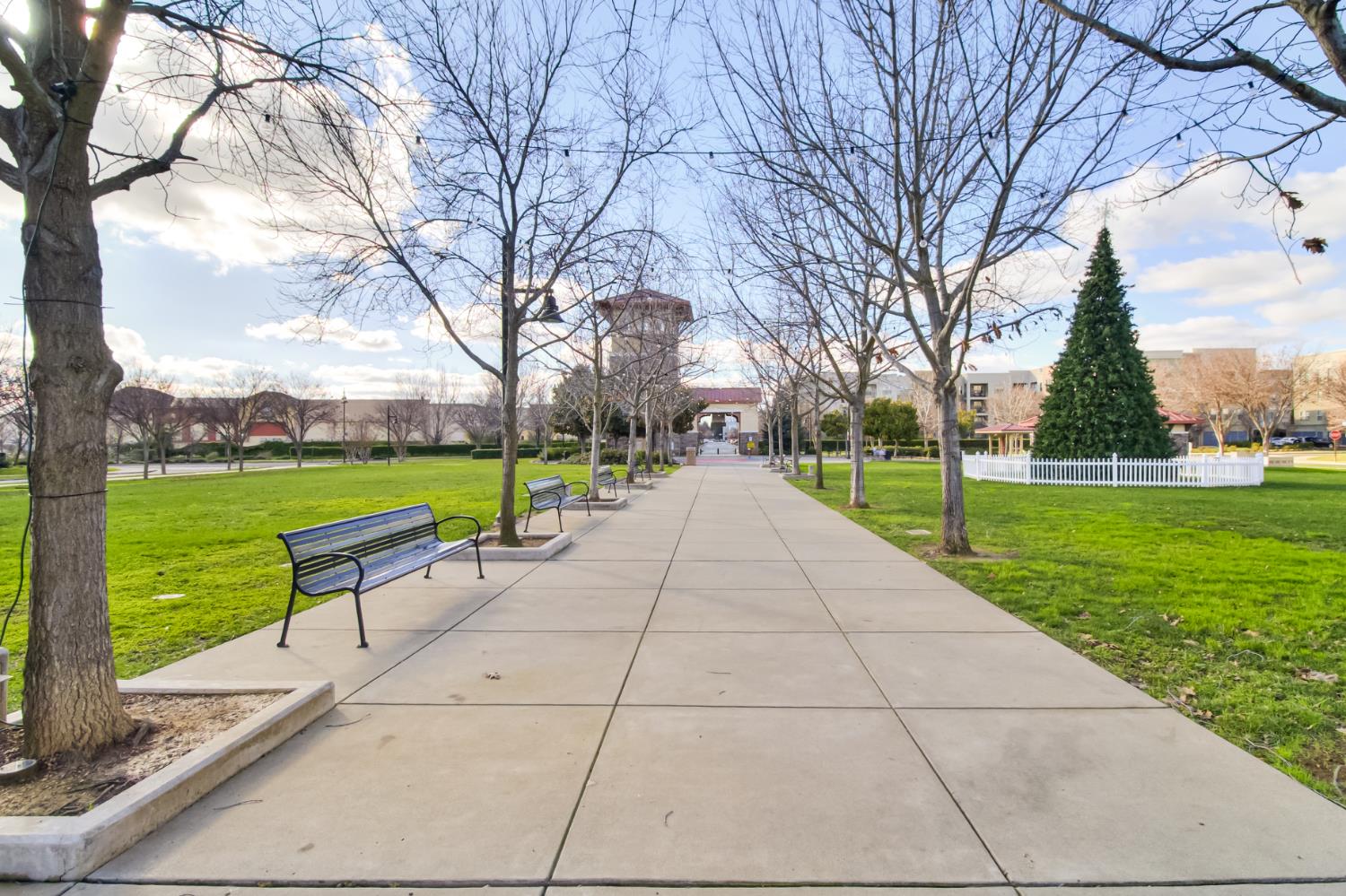 10890 Disk Drive Rancho Cordova, CA 95670 - Photo 42 of 43 a view of a park with large trees