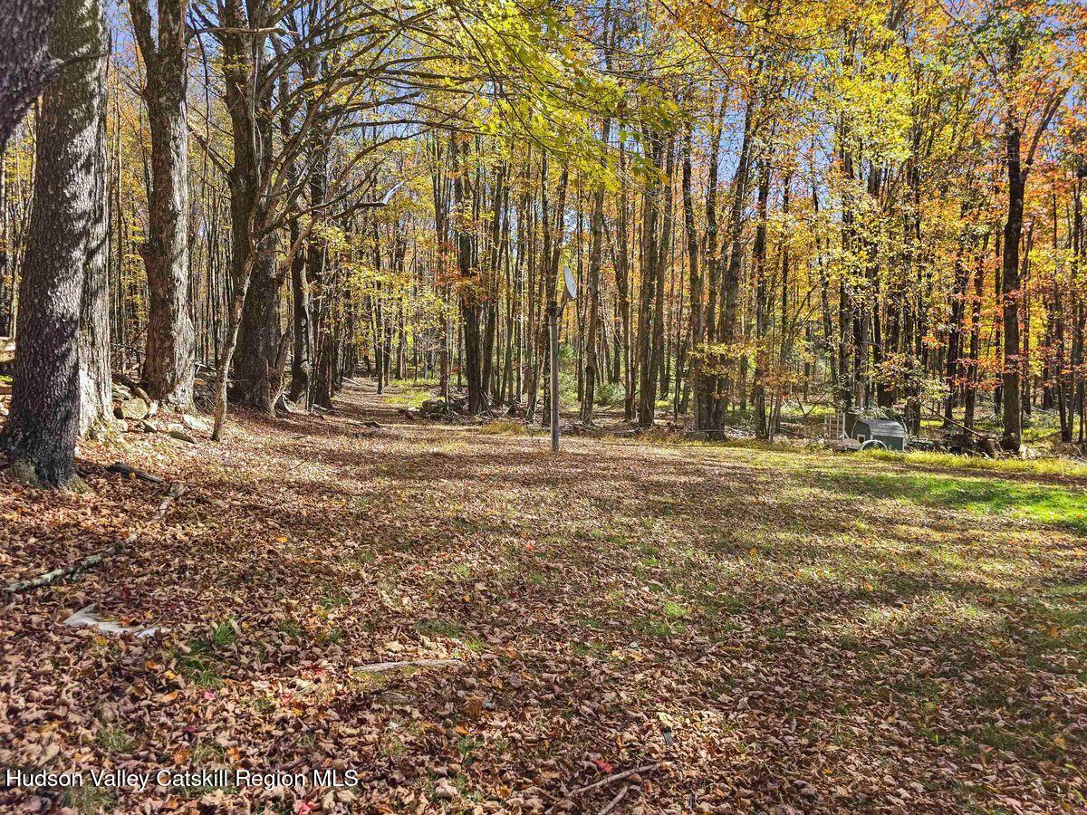 241 Royce Road Mongaup Valley, NY 12762 - Photo 16 of 43 photo_online_009