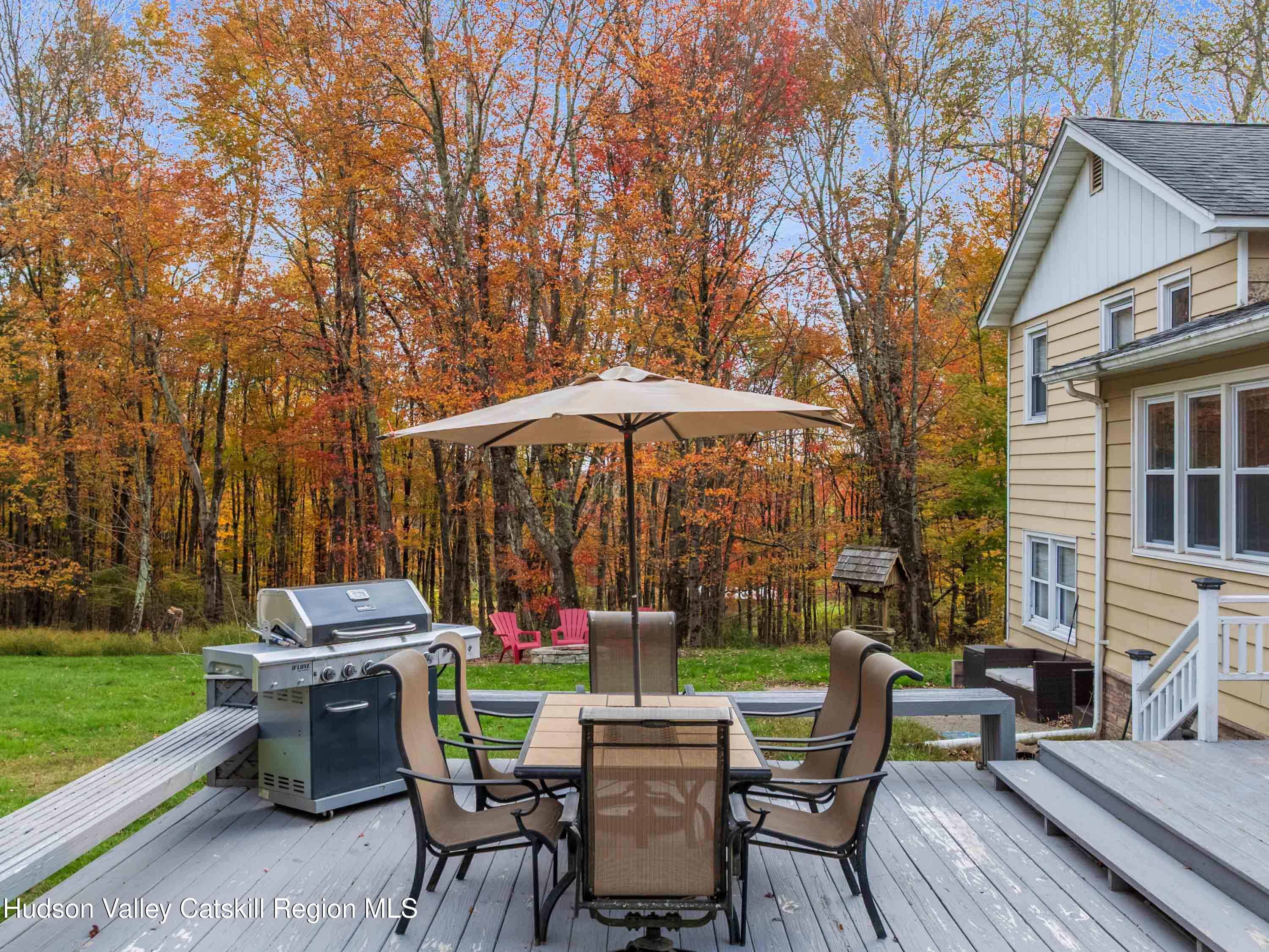 241 Royce Road Mongaup Valley, NY 12762 - Photo 18 of 43 Deck2Drone