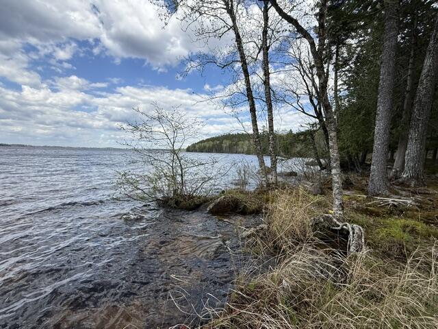 Lot12-part Indian Trail Road East Machias, ME 04630 - Photo 14 of 34 IMG_9882