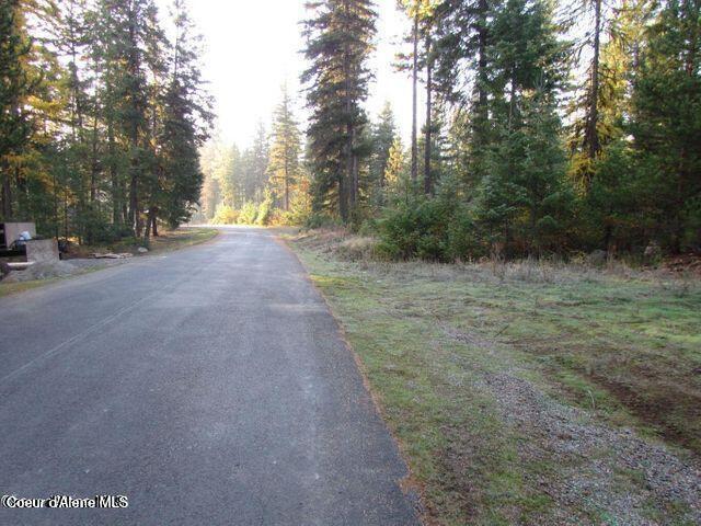 39 Forest Ridge Road Blanchard, ID 83804 - Photo 4 of 10 39 fourth