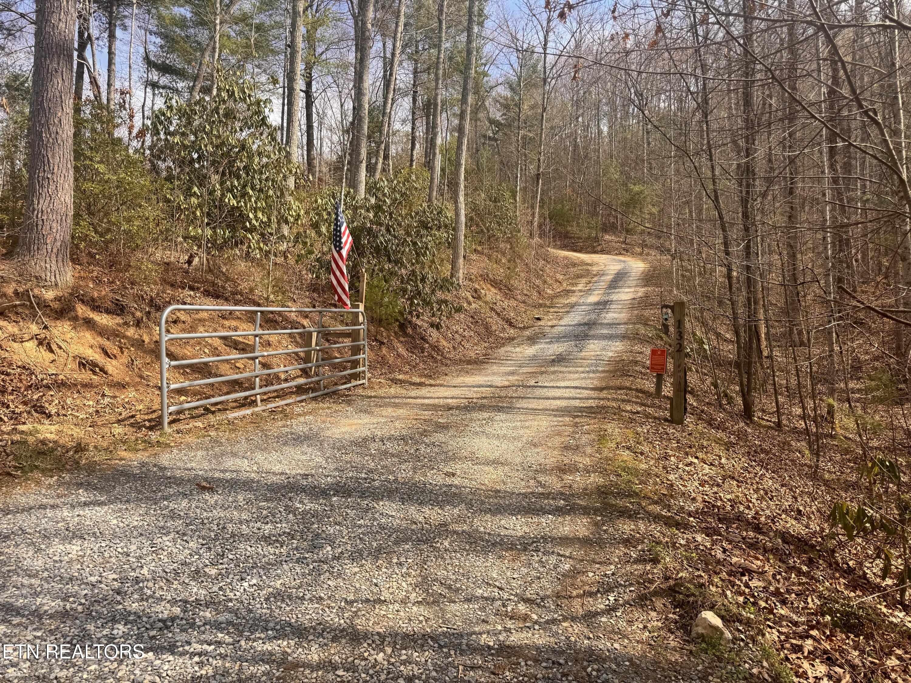 132 Sugar Maple Way Del Rio, TN 37727 - Photo 45 of 58 Driveway