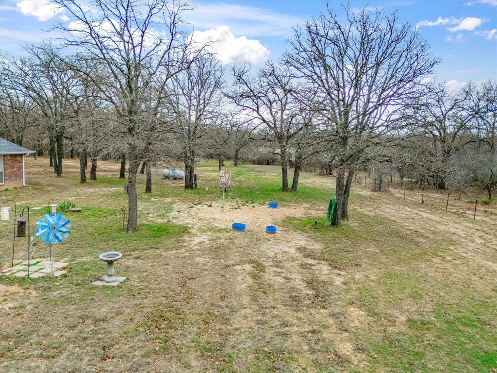 321 Niki Road Paradise, TX 76073 - Photo 33 of 40 a view of yard with tree