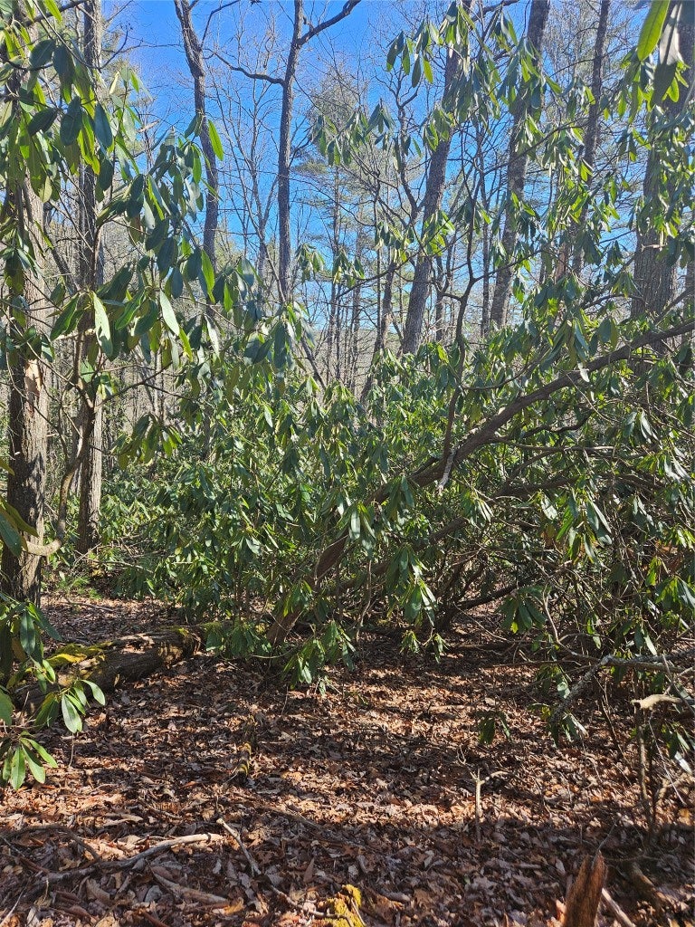 5 Ruffed Grouse Road Cashiers, NC 28717 - Photo 1 of 14 Gallery Image 1