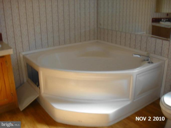 11536 Alum Springs Road Rixeyville, VA 22737 - Photo 16 of 25 Master Bath #2
