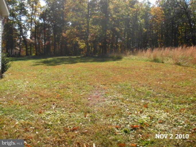 11536 Alum Springs Road Rixeyville, VA 22737 - Photo 19 of 25 Back yard