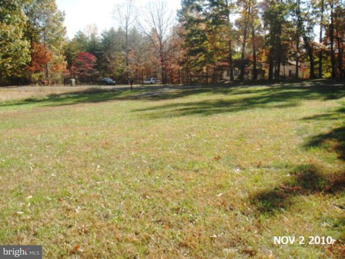 11536 Alum Springs Road Rixeyville, VA 22737 - Photo 20 of 25 Wooded View / Acreage