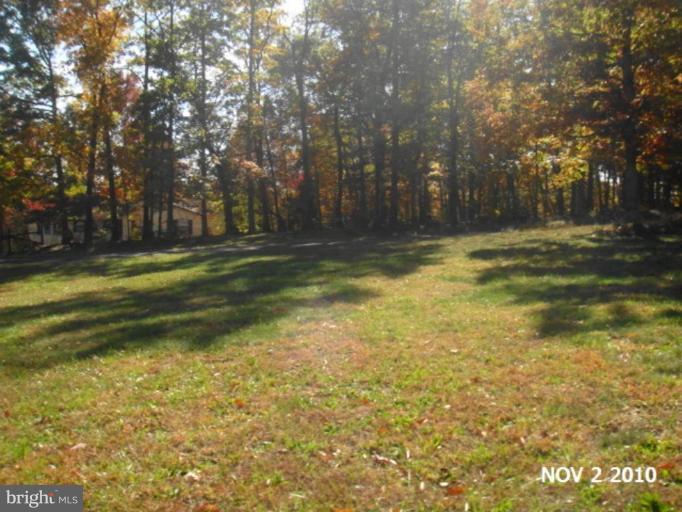 11536 Alum Springs Road Rixeyville, VA 22737 - Photo 21 of 25 Wooded View / Acreage 2