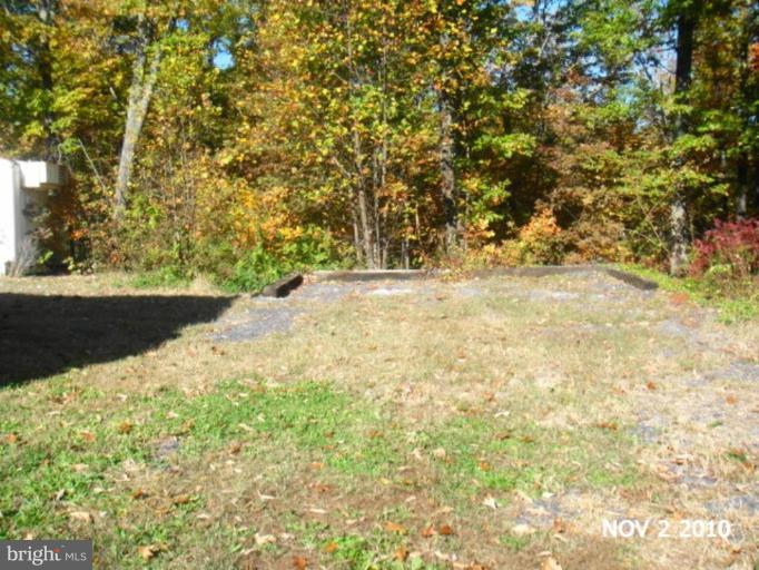 11536 Alum Springs Road Rixeyville, VA 22737 - Photo 22 of 25 Wooded View / Acreage 3