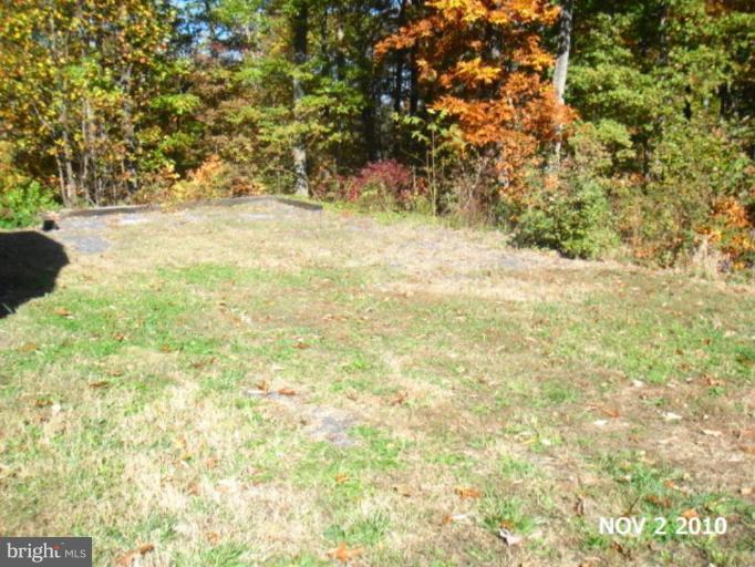 11536 Alum Springs Road Rixeyville, VA 22737 - Photo 24 of 25 Unique #1