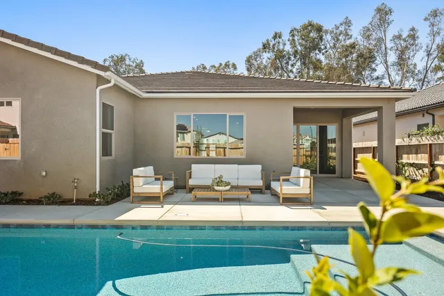 a living room with a couch and potted plants