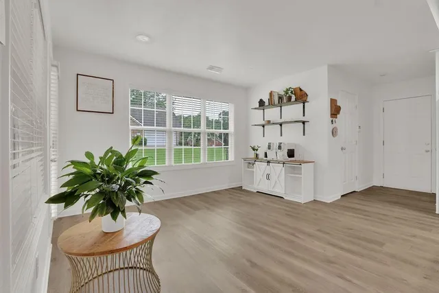 a living room with furniture and a potted plant