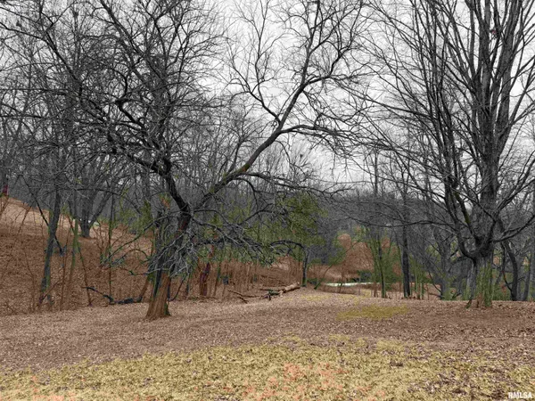 $200,000 | 1886 Sunrise Drive, Galesburg, IL 61401