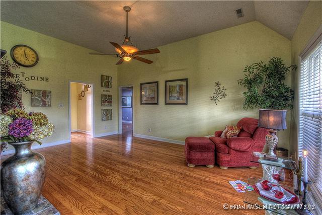809 Riata Court Smyrna, TN 37167 - Photo 3 of 20 Open livinng room with hardwood floors