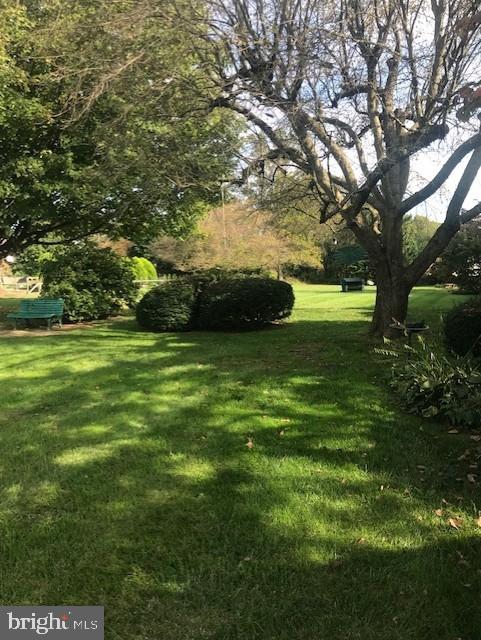2602-2604 Ebright Road Wilmington, DE 19810 - Photo 15 of 16 a view of a trees in a yard