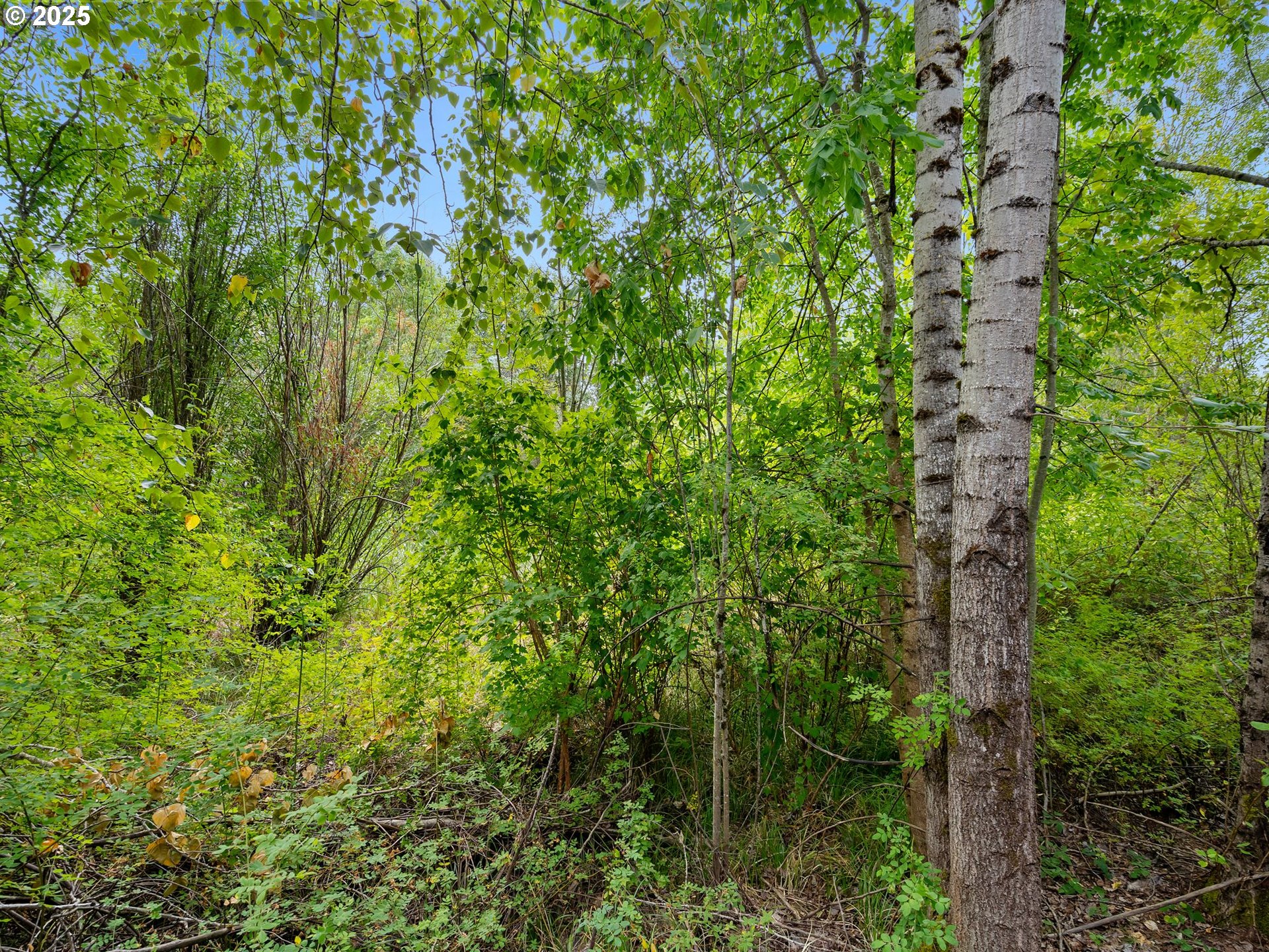 730 Northwest 185th Avenue, Unit 107 Beaverton, OR 97006 - Photo 34 of 48 View