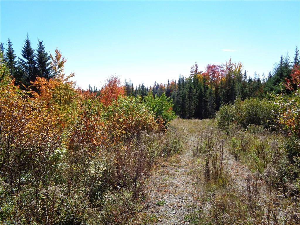 Lot 2 Off Point Street Addison, ME 04606 - Photo 15 of 18 Photo