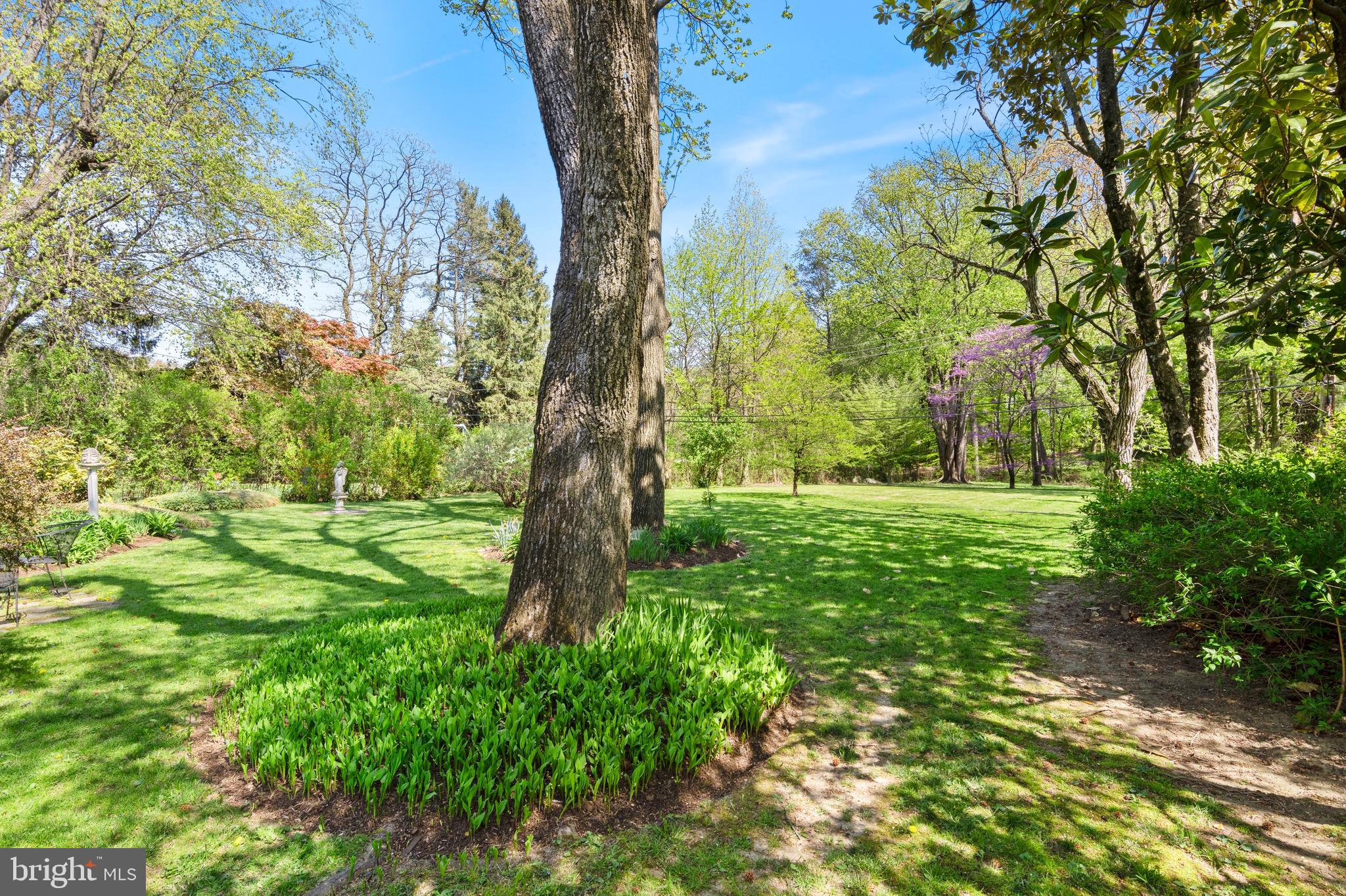 451 Rices Mill Road Wyncote, PA 19095 - Photo 62 of 79