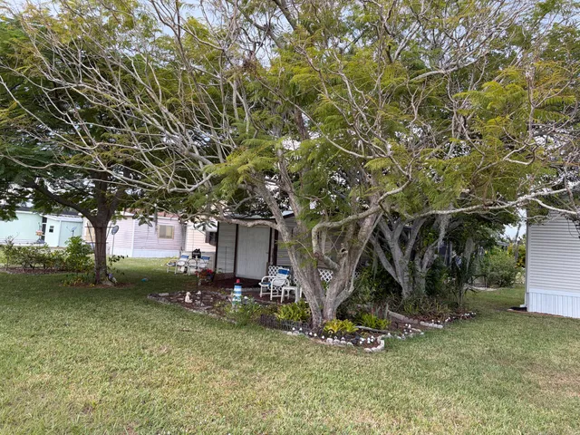 a view of a park with large trees