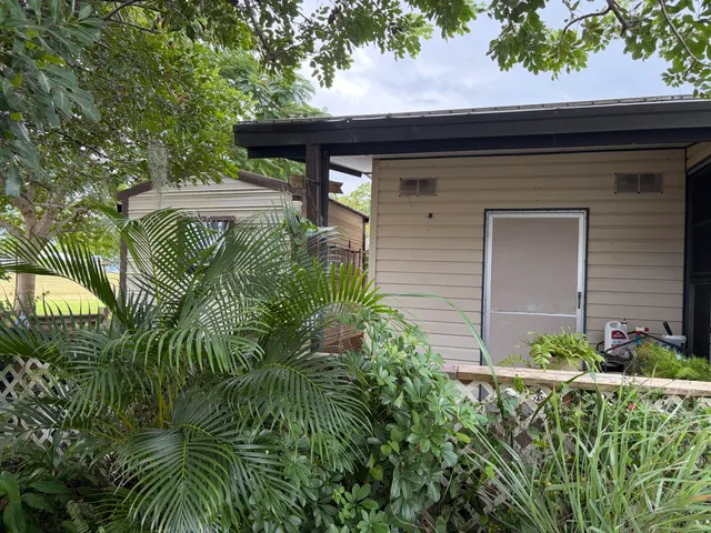 a view of a backyard