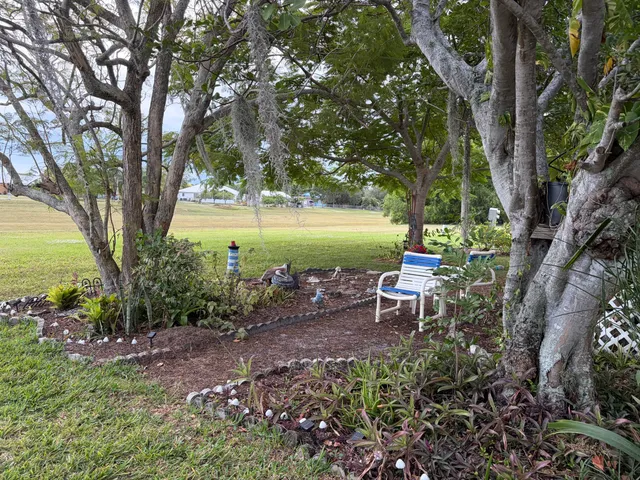 a view of a garden with an outdoor space