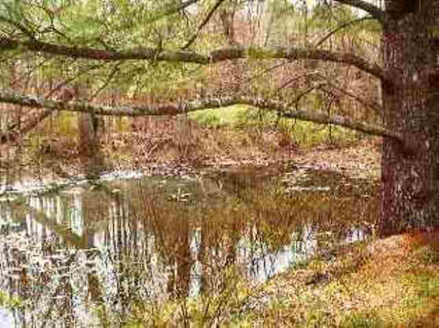 323 County Rt 405 Greenville, NY 12083 - Photo 8 of 9 Photo 8