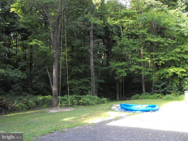 245 Tate Road Prince Frederick, MD 20678 - Photo 13 of 15 a view of a backyard with a small plants and large trees