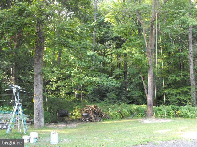 245 Tate Road Prince Frederick, MD 20678 - Photo 14 of 15 a view of a garden with a tree