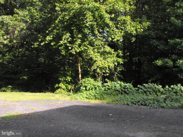 245 Tate Road Prince Frederick, MD 20678 - Photo 15 of 15 a view of backyard with green space