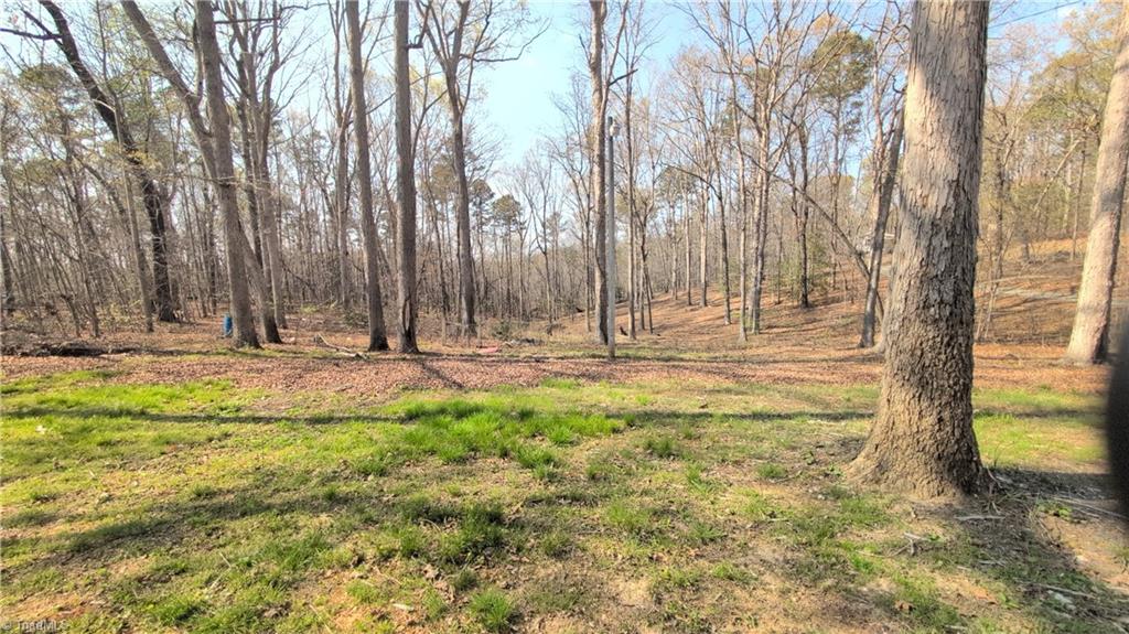 316 Substation Road Troy, NC 27371 - Photo 2 of 15