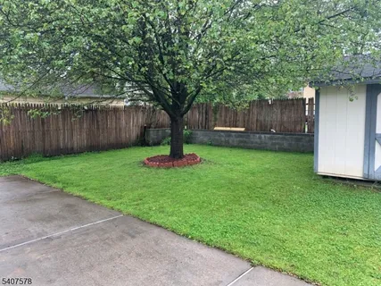 a view of a backyard with large trees and wooden fence