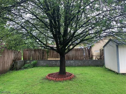 a front view of a house with a yard and tree